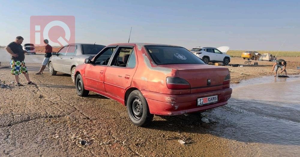 بيجو 306